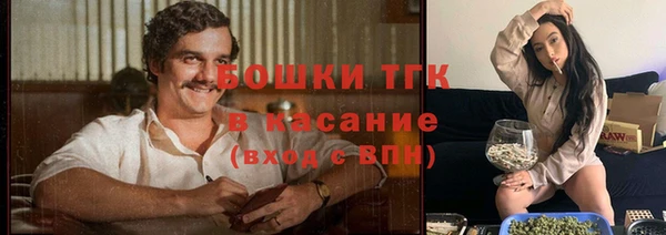 мдпв Вяземский